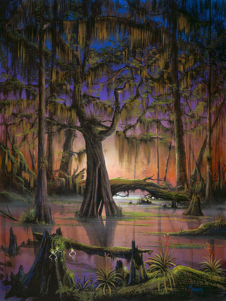 Stephen Muldoon Mystic Swamp (Large) (SN)